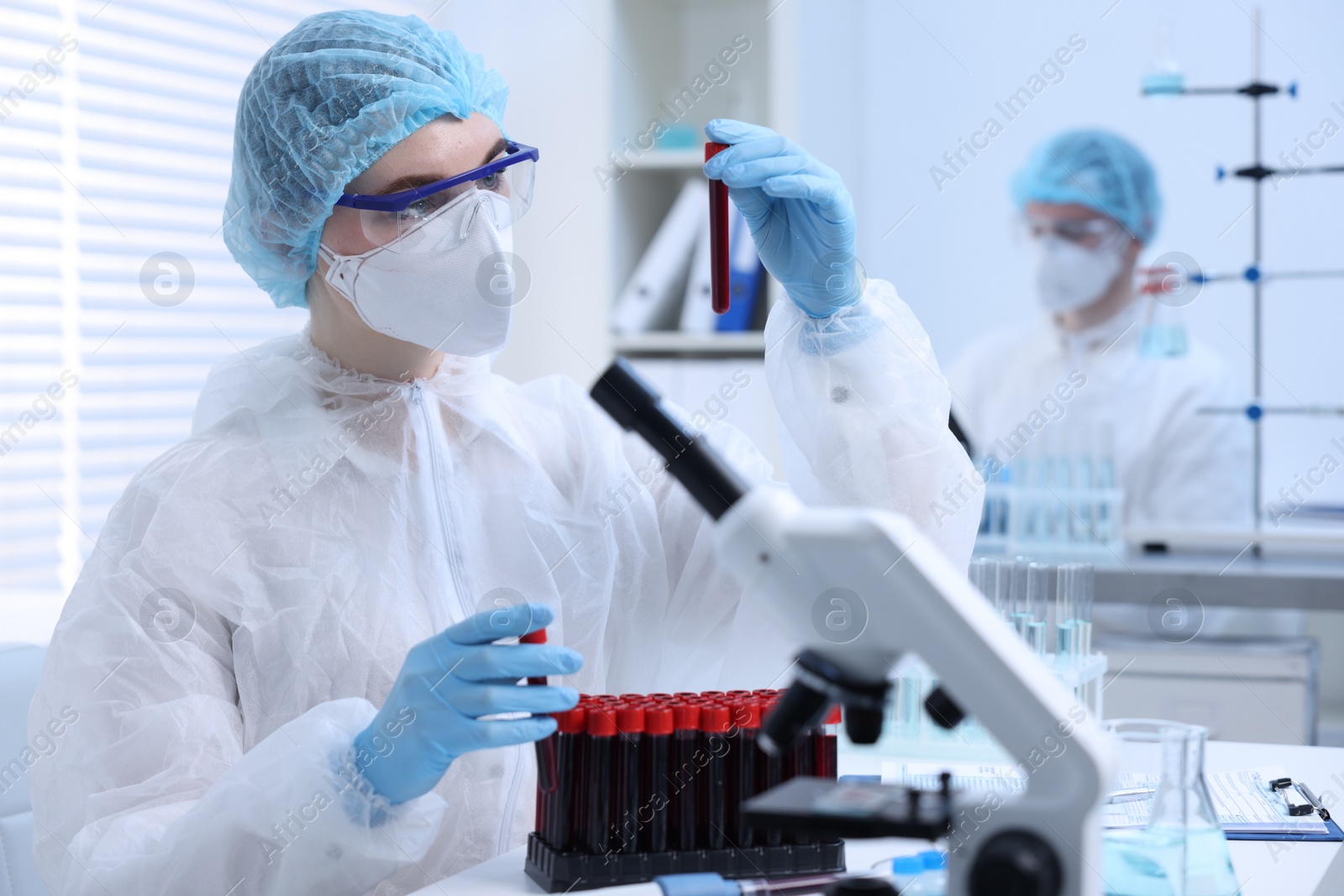 Photo of Scientist working with samples in test tubes in laboratory