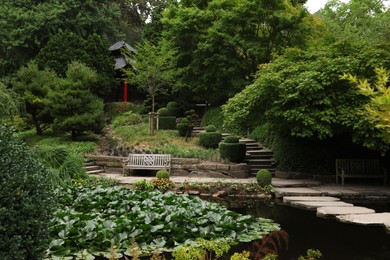 Photo of Beautiful view of park with pond and green plants