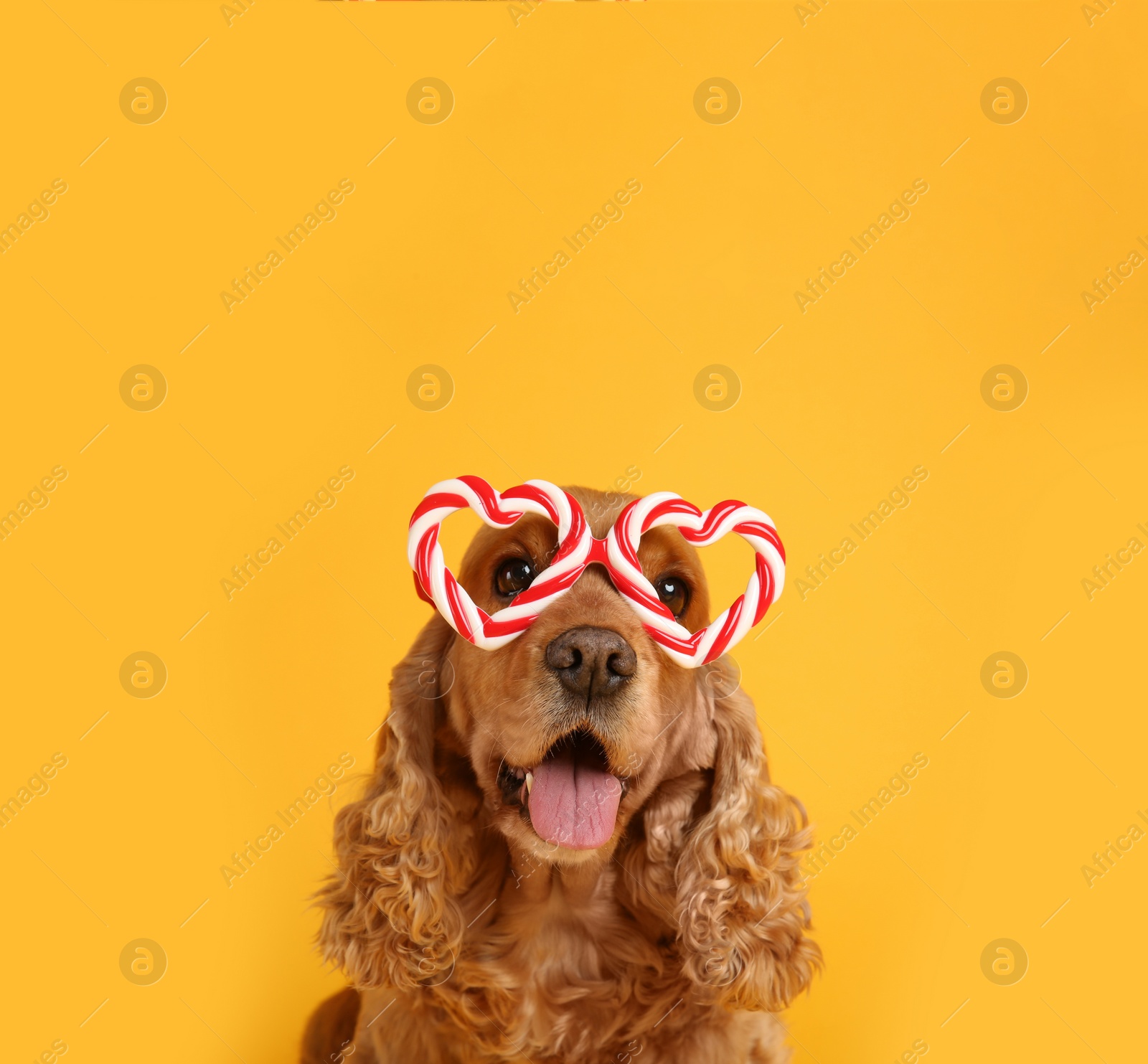 Photo of Adorable Cocker Spaniel dog in party glasses on yellow background, space for text