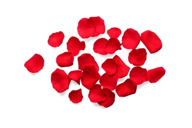 Photo of Many red rose petals on white background, top view