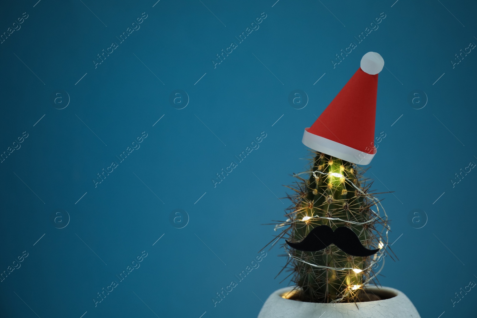 Photo of Cactus decorated with glowing fairy lights and santa hat on blue background. Space for text