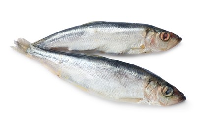 Fresh raw sprats isolated on white, top view