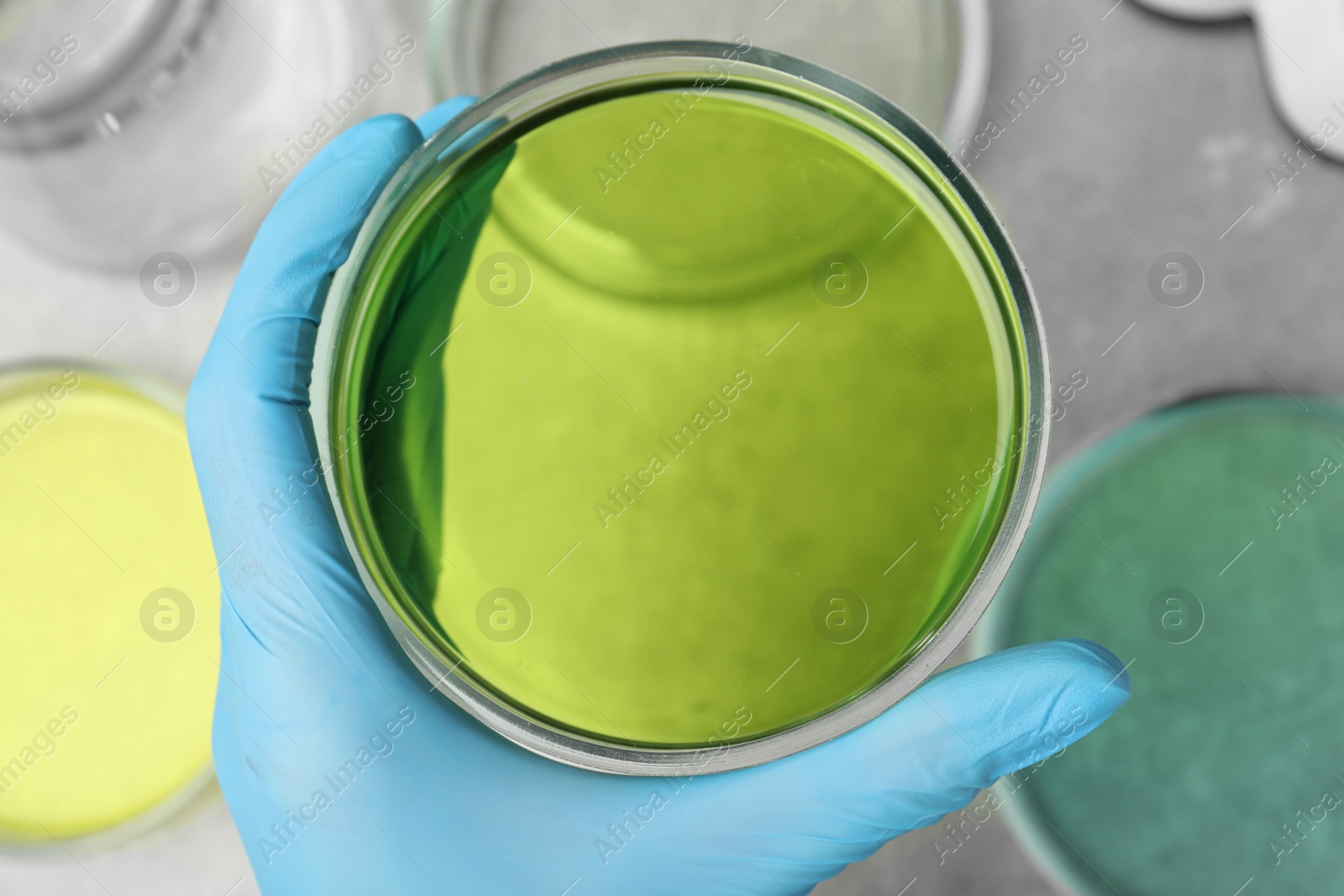Photo of Doctor holding Petri dish with green liquid sample, top view. Laboratory analysis