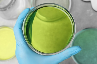 Photo of Doctor holding Petri dish with green liquid sample, top view. Laboratory analysis