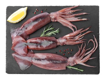 Photo of Fresh raw squids with lemon, rosemary and pepper on white background, top view