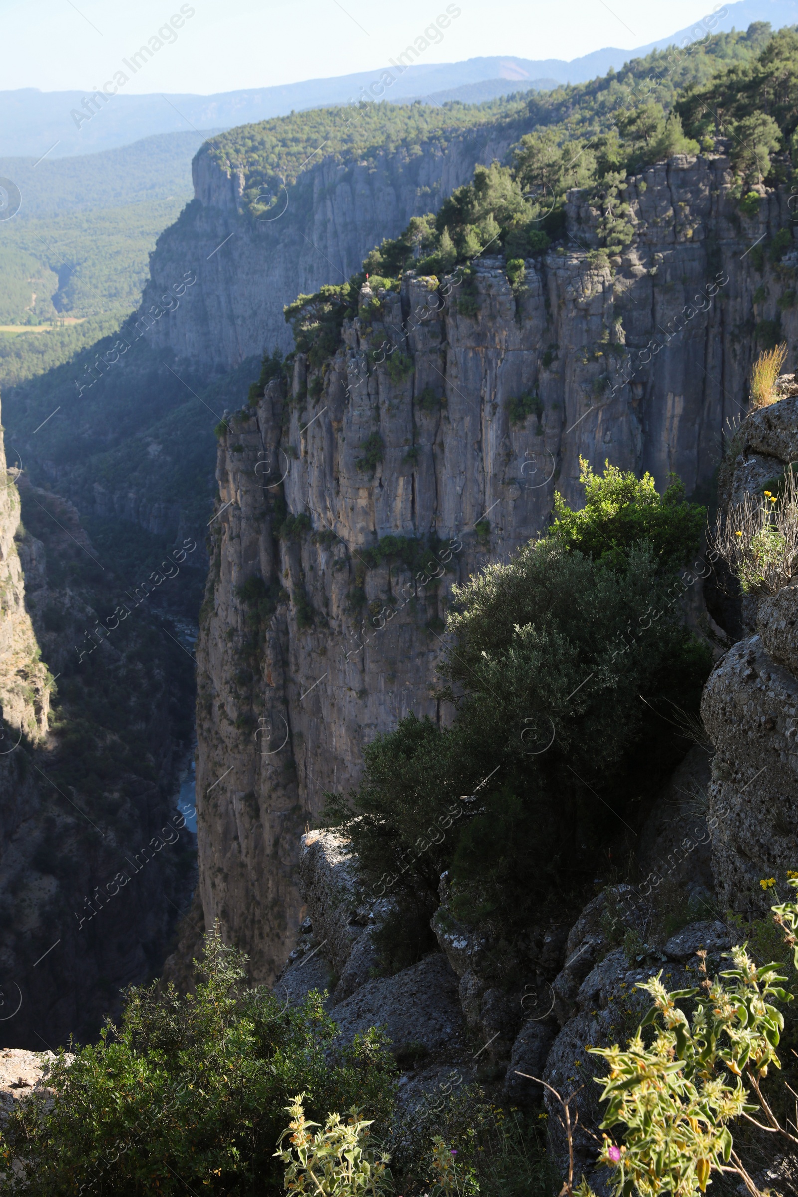 Photo of Beautiful landscape with canyon on sunny day