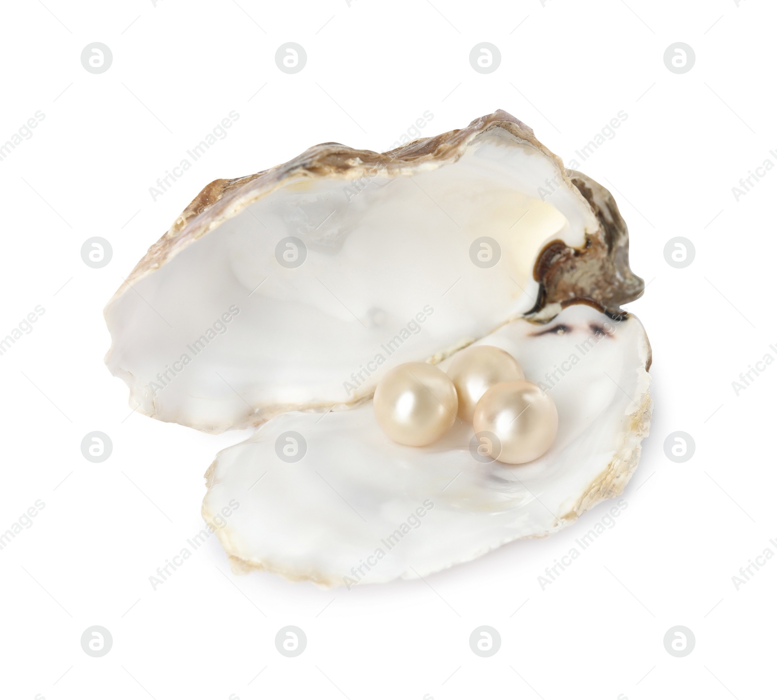 Photo of Open oyster shell with pearls on white background