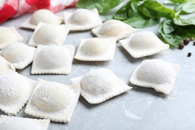 Photo of Uncooked ravioli and basil on grey marble table, closeup