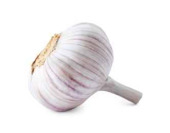 Fresh garlic on white background. Organic food