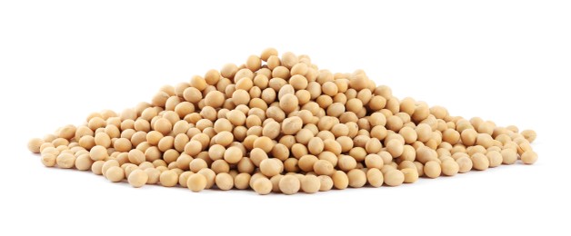 Photo of Heap of soya beans isolated on white