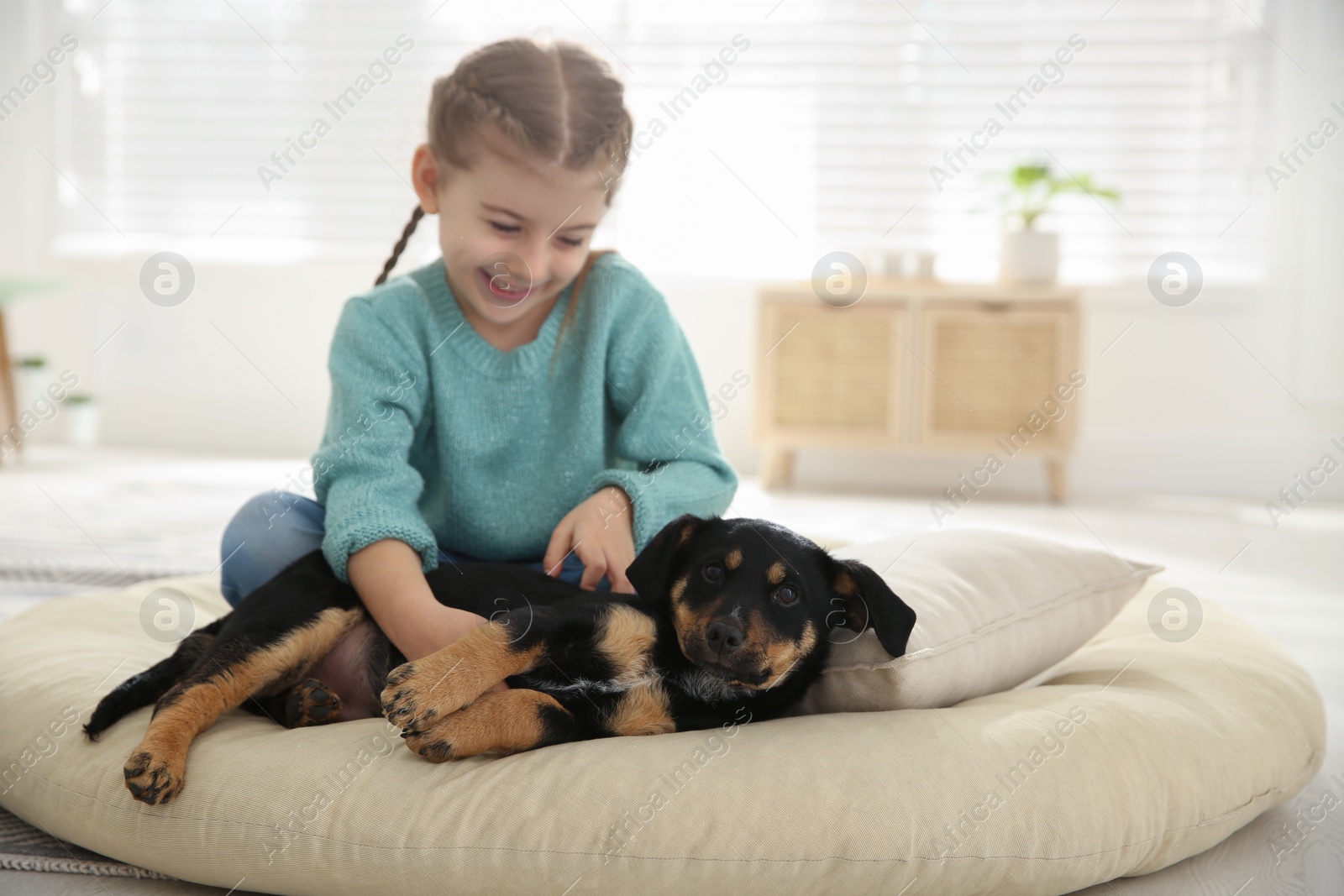 Photo of Little girl with cute puppy sitting on soft pillow at home