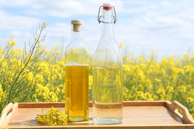 Photo of Rapeseed oil in bottles on tray in field, closeup