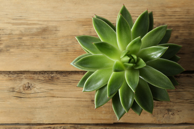 Photo of Beautiful echeveria on wooden background, top view with space for text. Succulent plant
