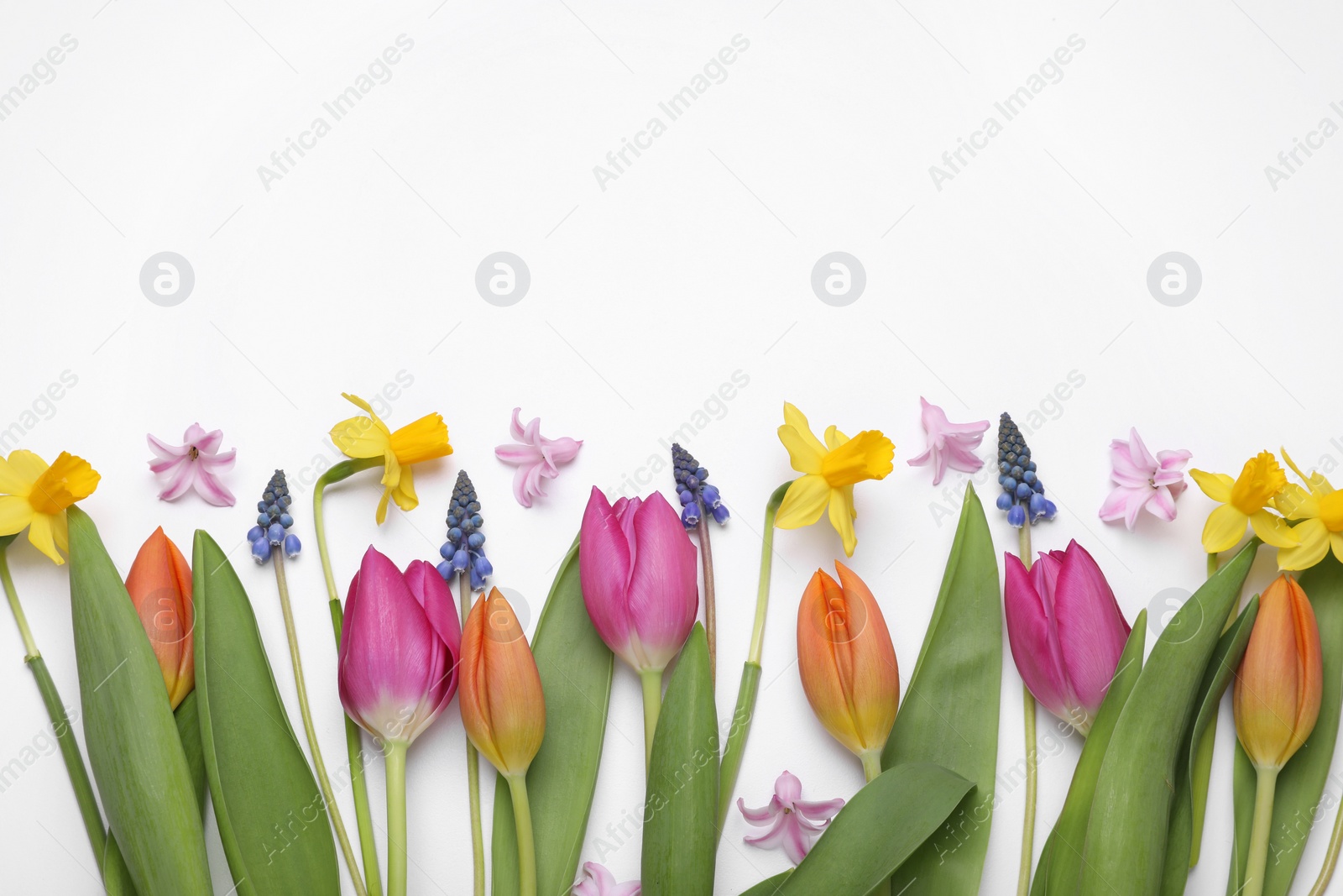 Photo of Beautiful flowers on white background, flat lay. Space for text
