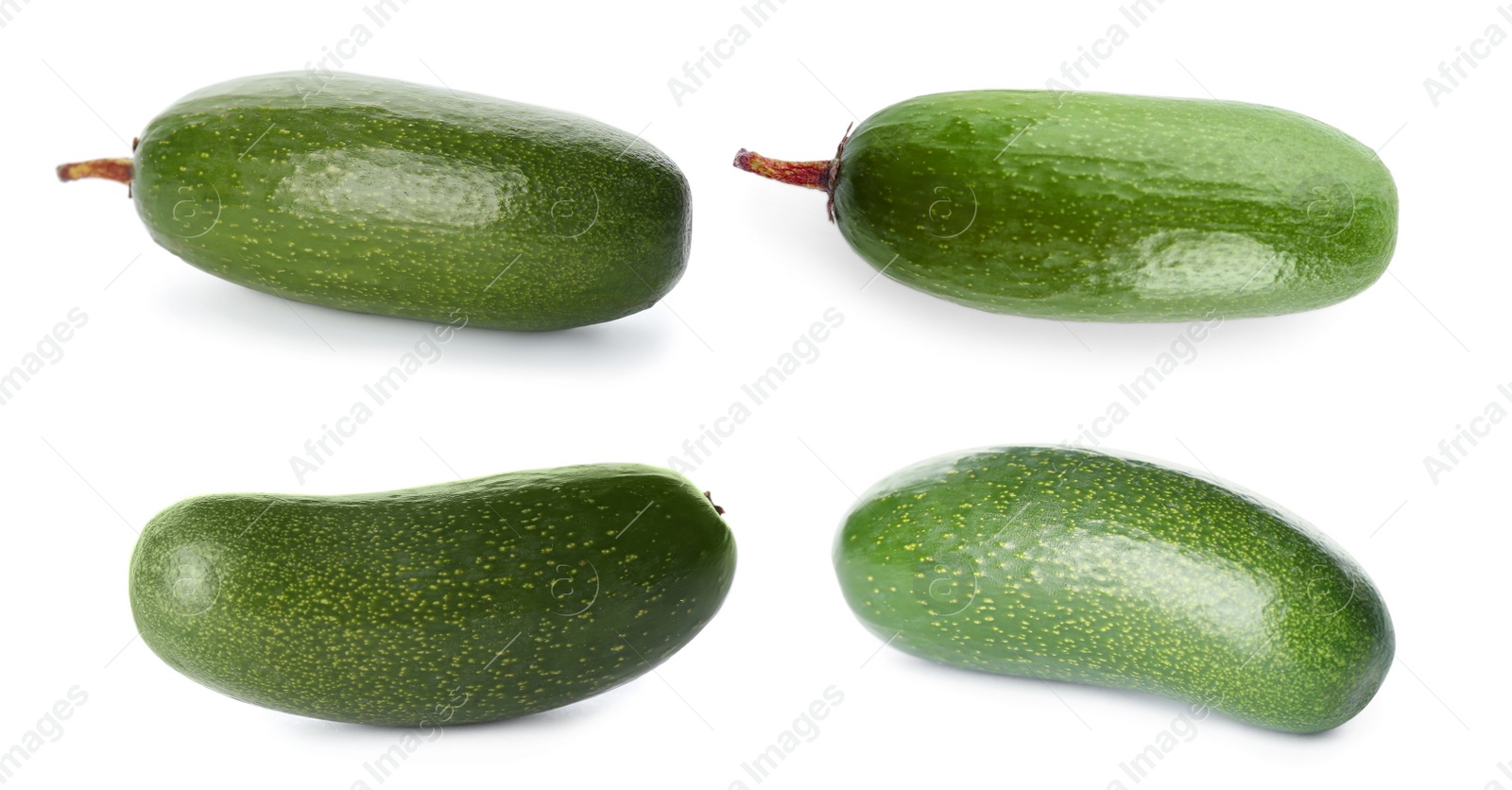 Image of Set with fresh seedless avocados on white background. Banner design