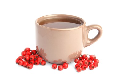 Photo of Aromatic hawthorn tea in cup and berries isolated on white