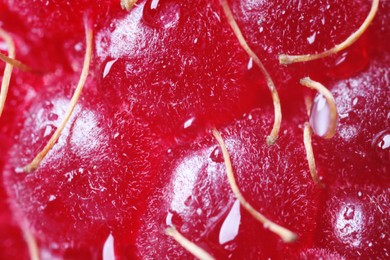 Ripe raspberry with water drops as background, macro view. Fresh fruit