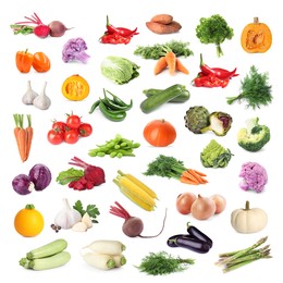 Collage with many fresh vegetables on white background