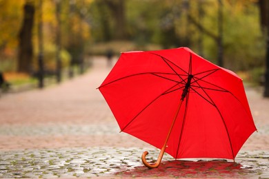 Photo of Open red umbrella on paved pathway in autumn park, space for text