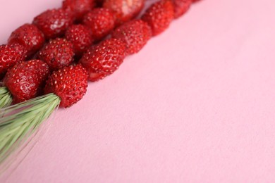 Grass stems with wild strawberries on pink table, closeup. Space for text