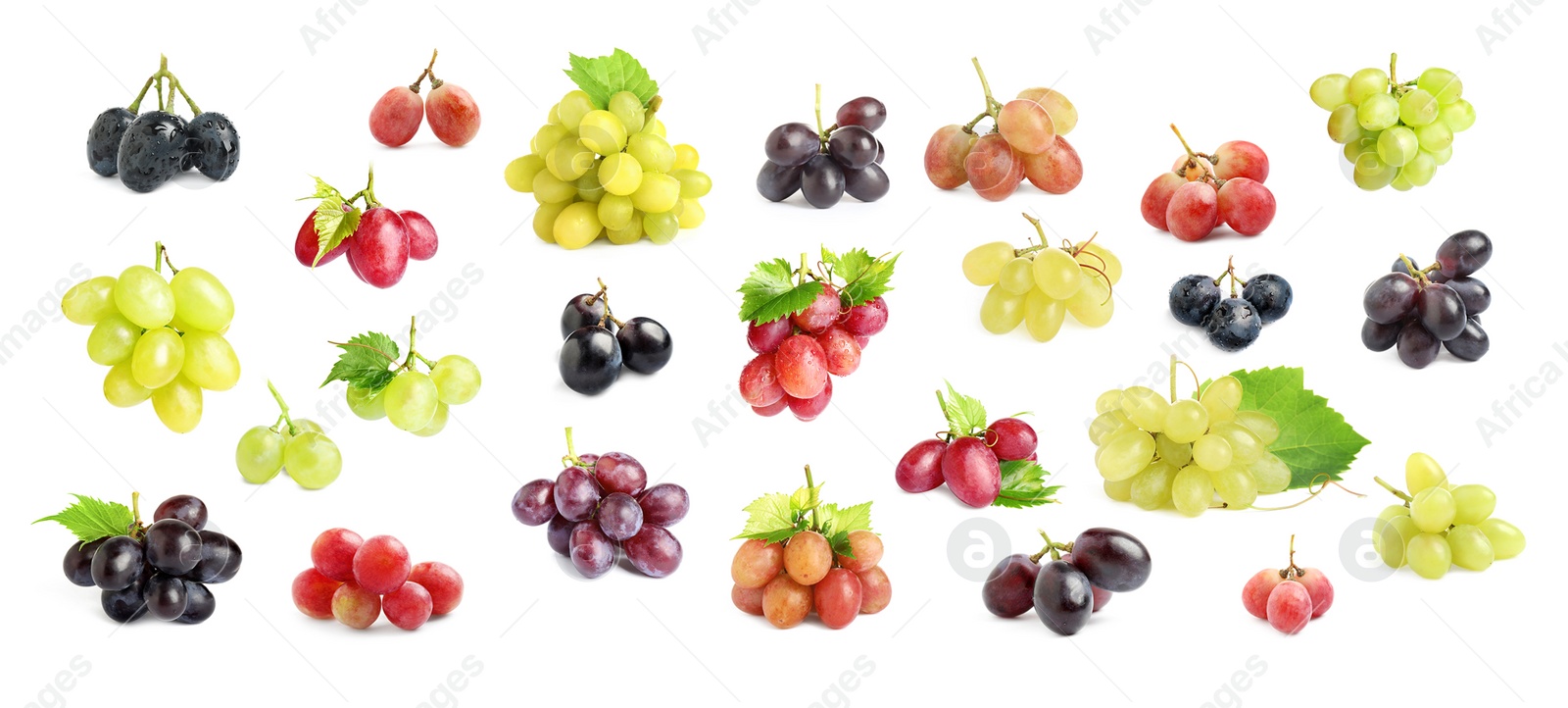 Image of Set with different fresh ripe grapes on white background. Banner design