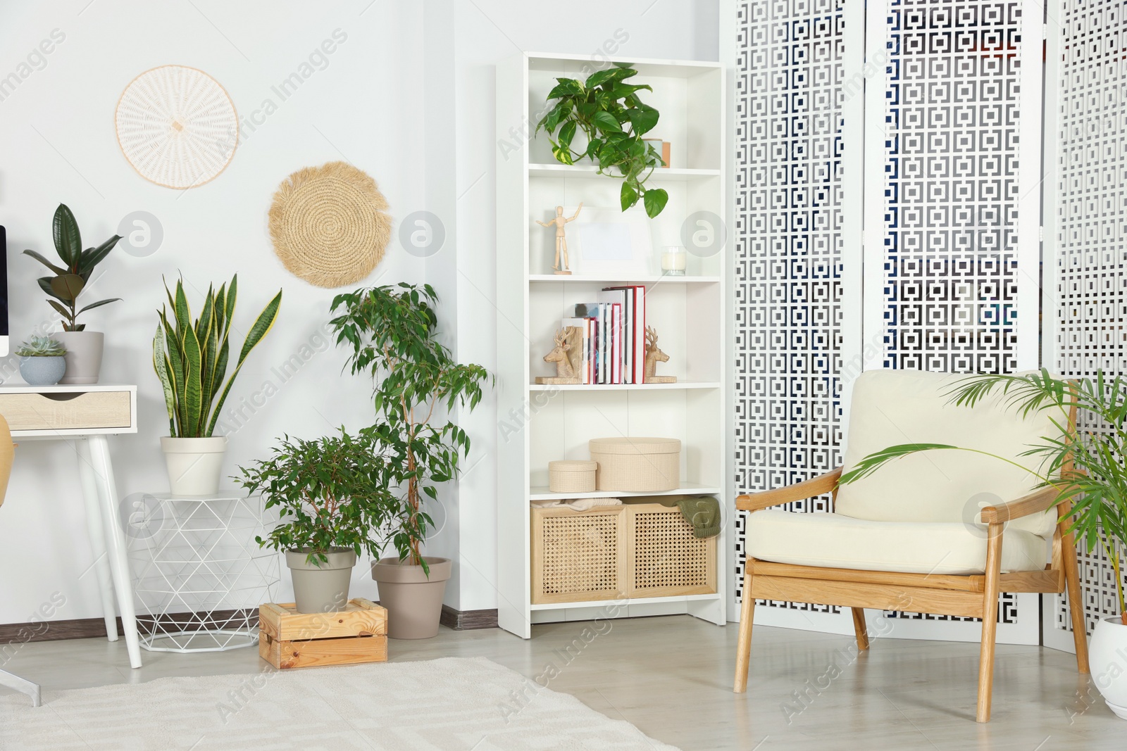 Photo of Stylish room interior with comfortable armchair and beautiful houseplants