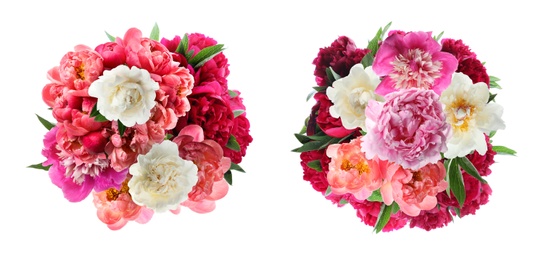 Beautiful peonies on white background. Bright bouquets