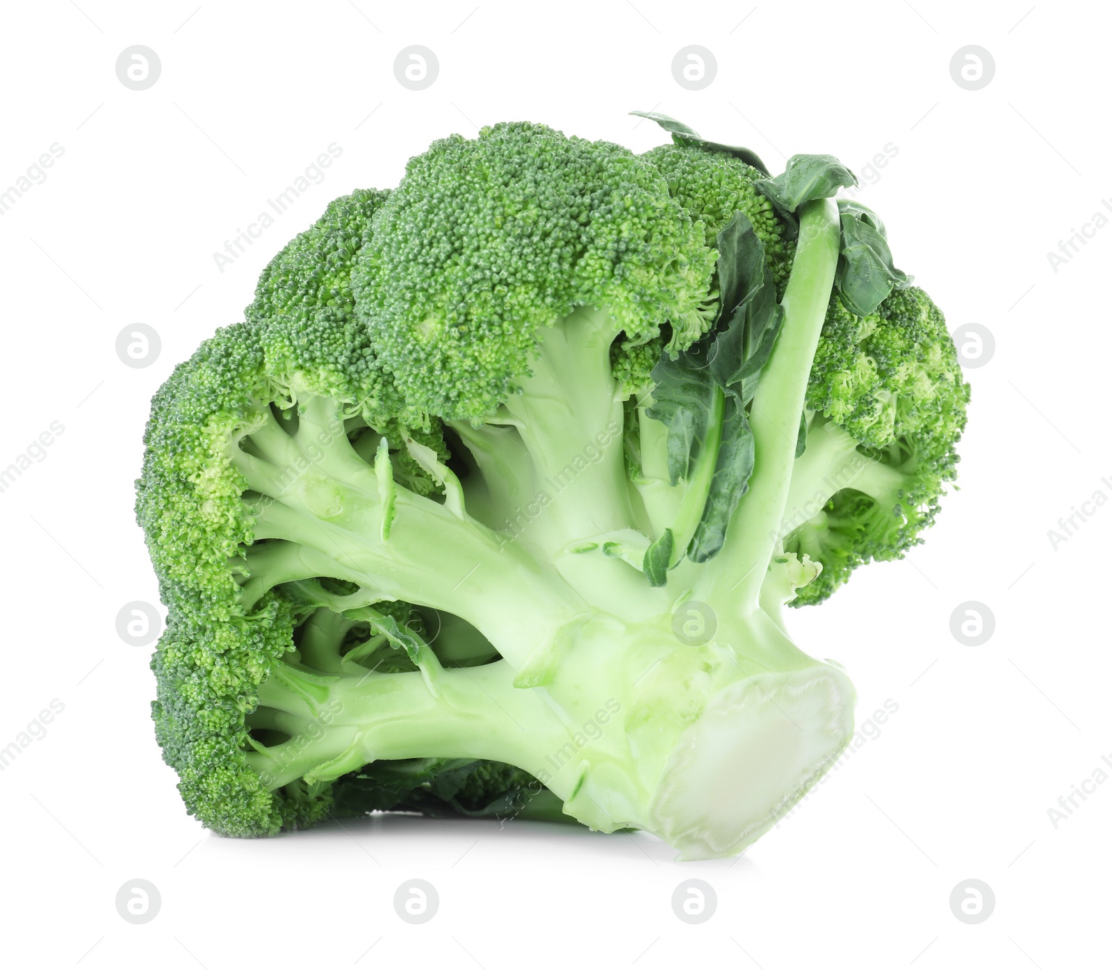 Photo of Fresh green broccoli isolated on white. Organic food