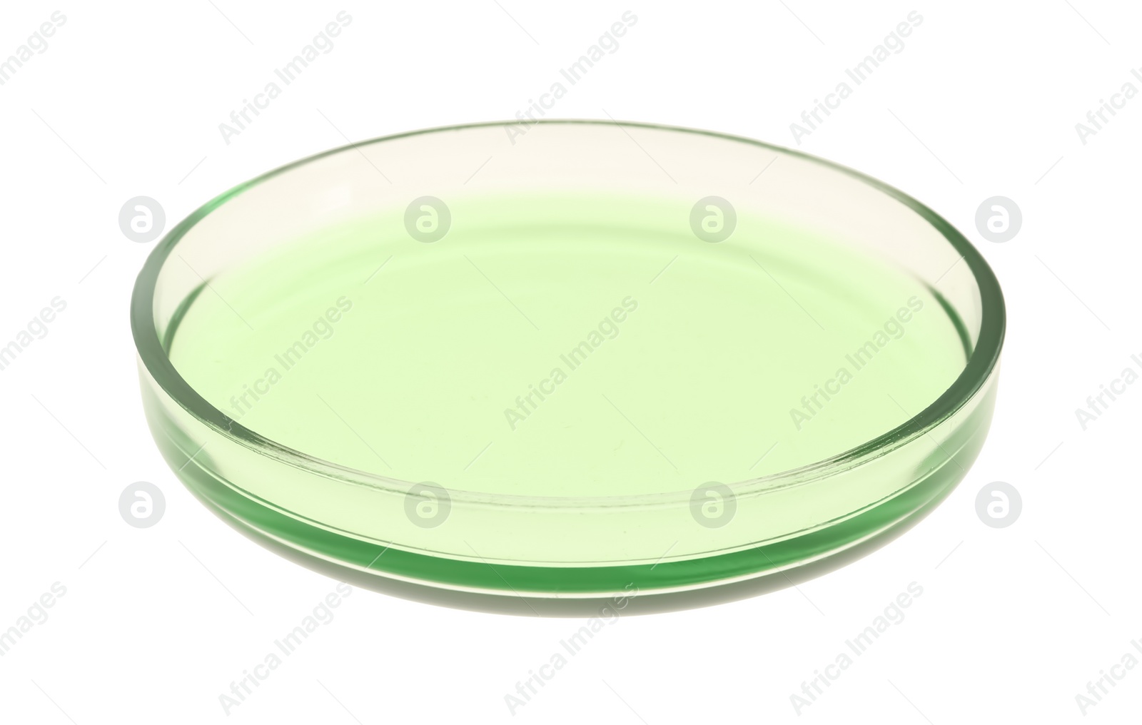 Photo of Petri dish with green liquid isolated on white