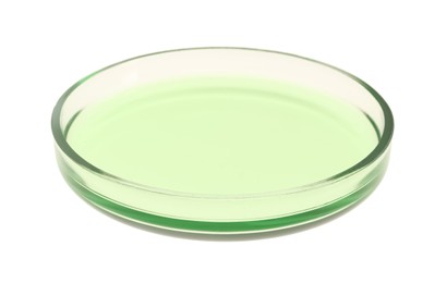 Petri dish with green liquid isolated on white