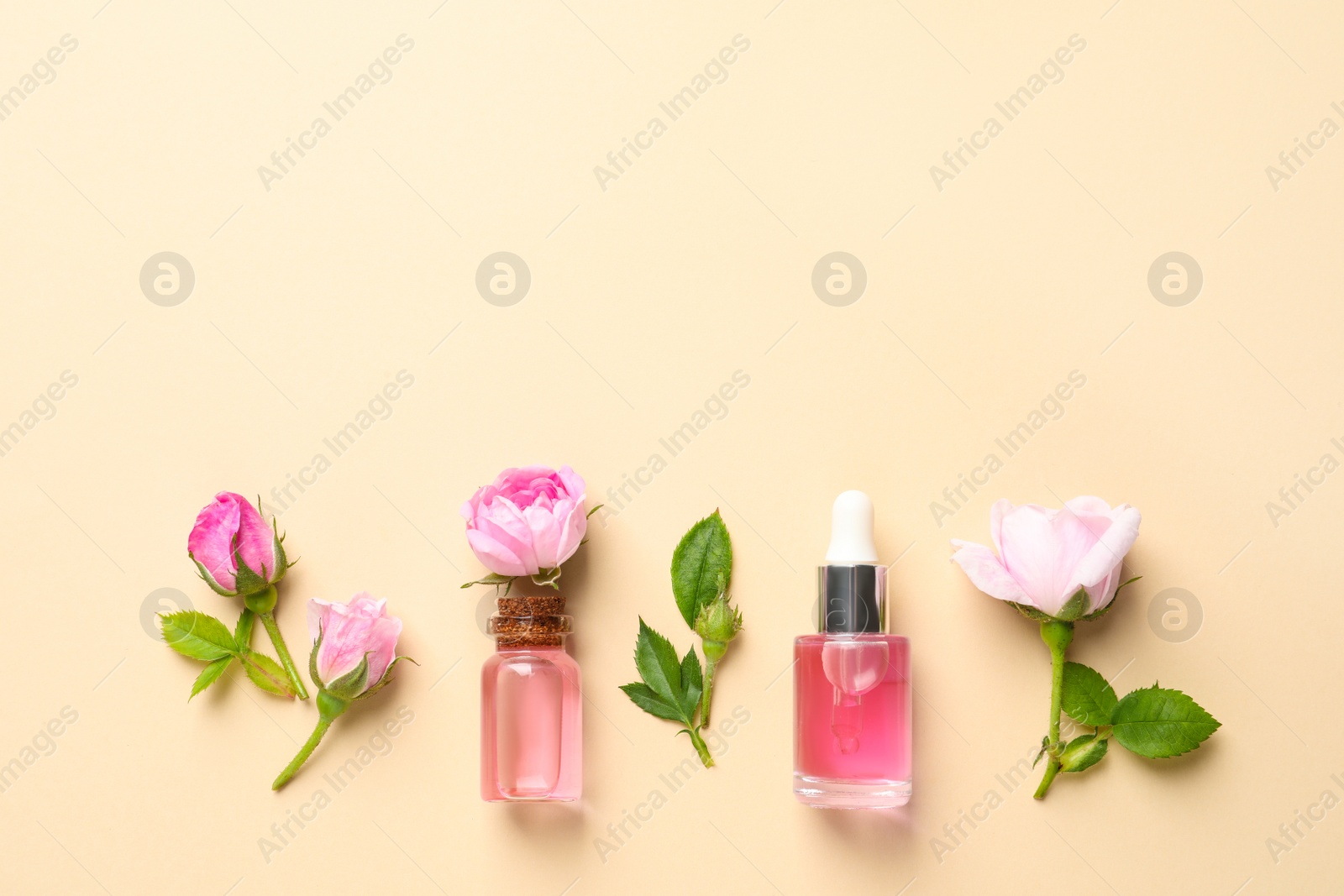 Photo of Fresh flowers and bottles of rose essential oil on color background, flat lay. Space for text