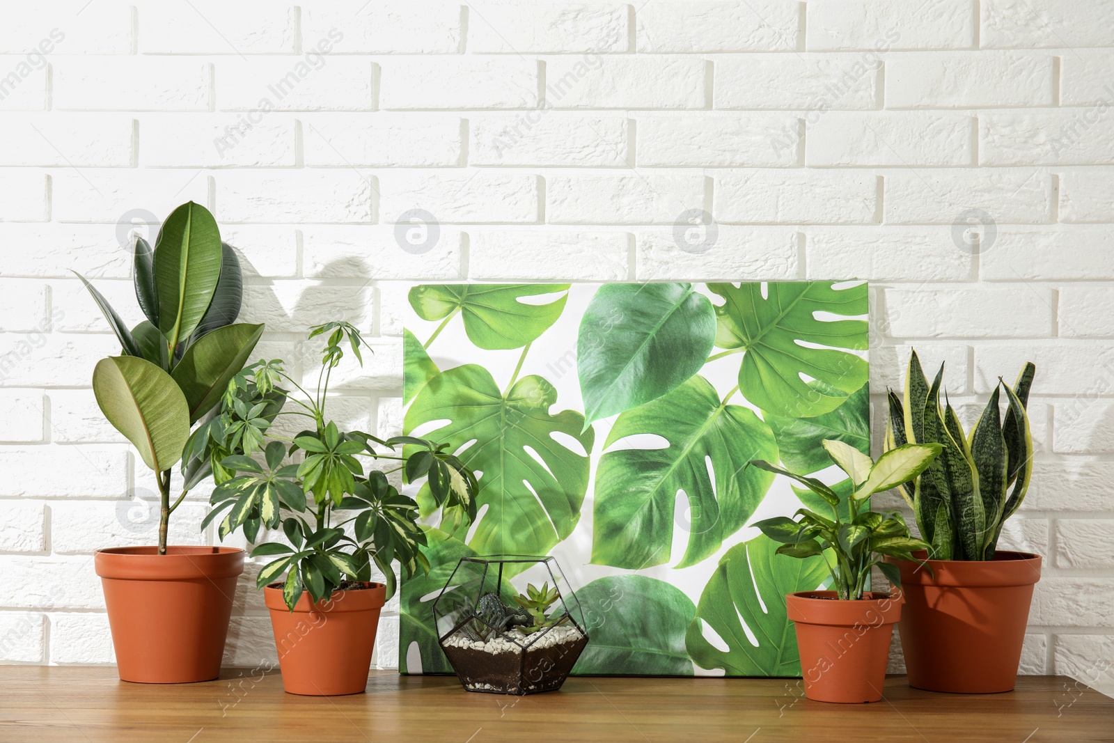 Photo of Potted home plants and picture on table against brick wall