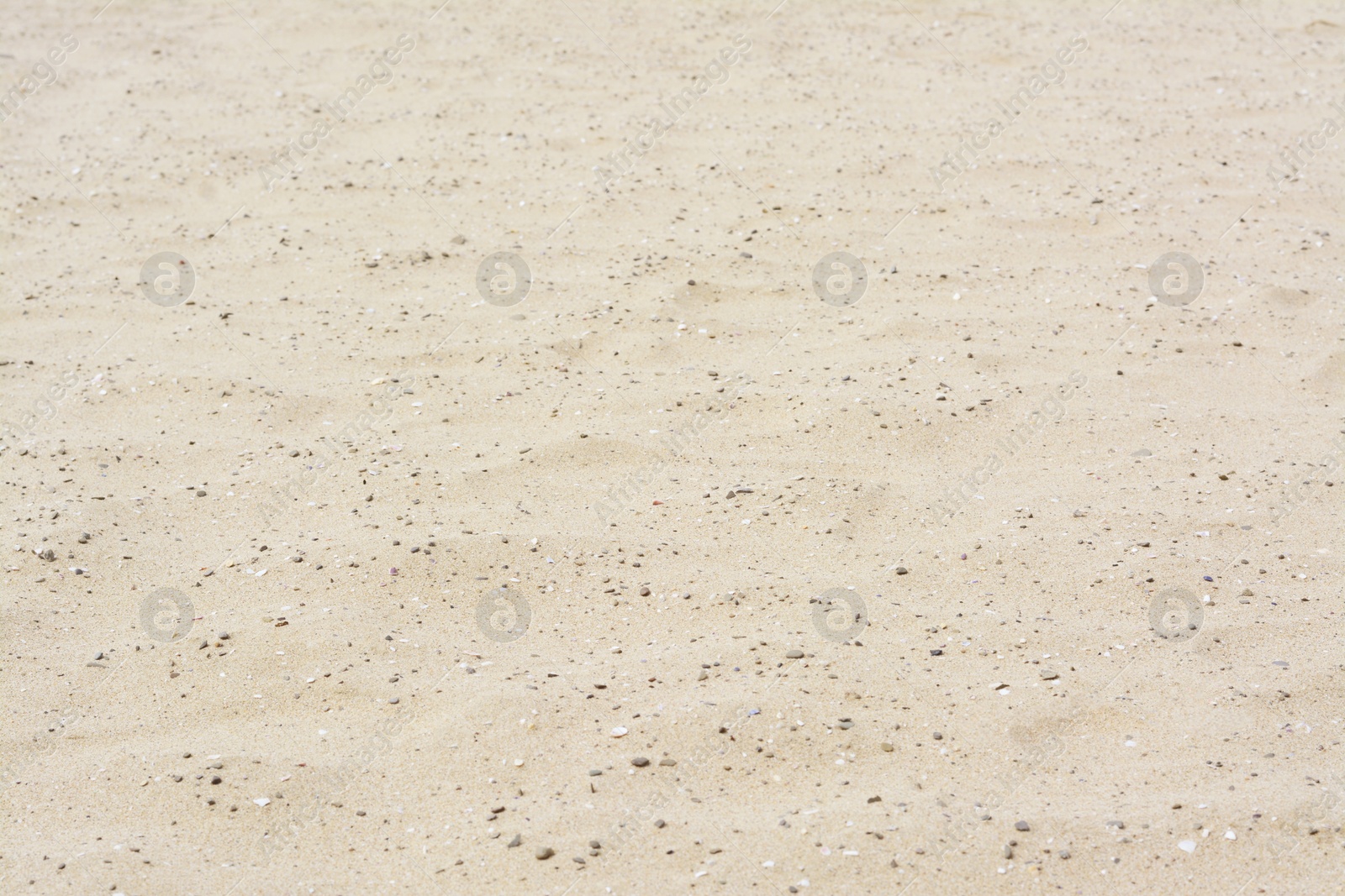 Photo of Texture of sandy beach as background, closeup