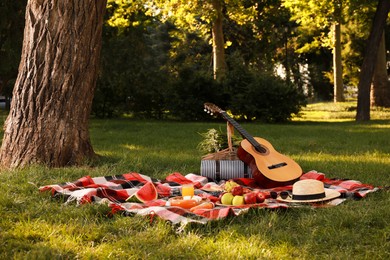 Picnic basket, guitar, food and drinks on plaid in summer park