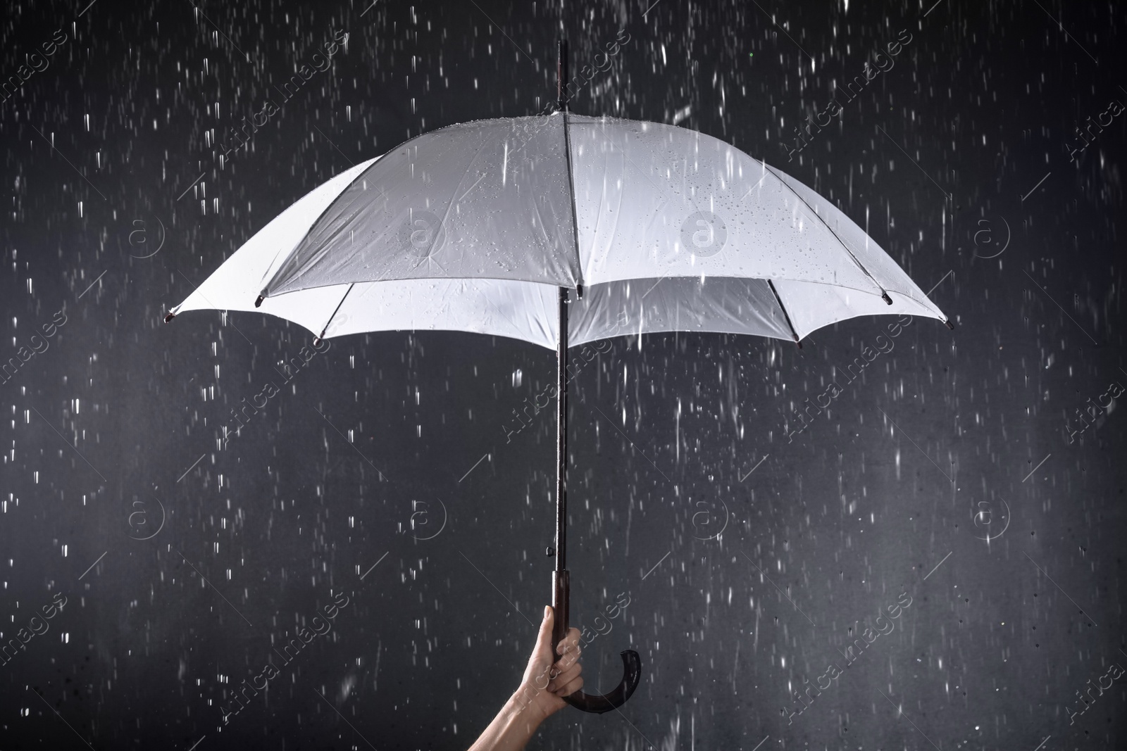 Photo of Woman holding white umbrella under rain on dark background, closeup