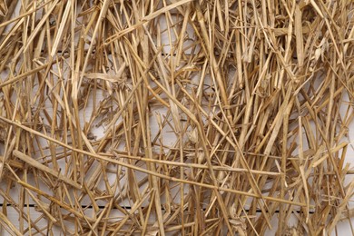 Photo of Dried straw on white wooden table, top view