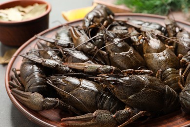 Photo of Fresh raw crayfishes on grey table, closeup