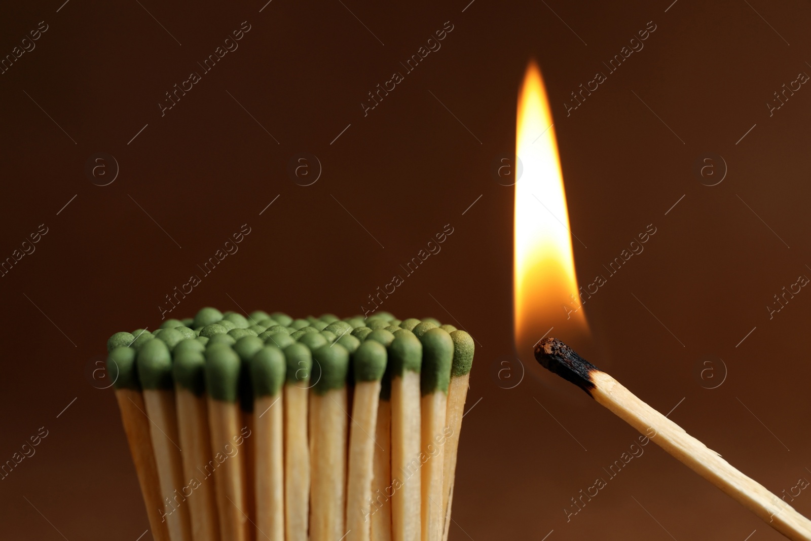 Photo of Burning match near unlit ones on brown background, closeup