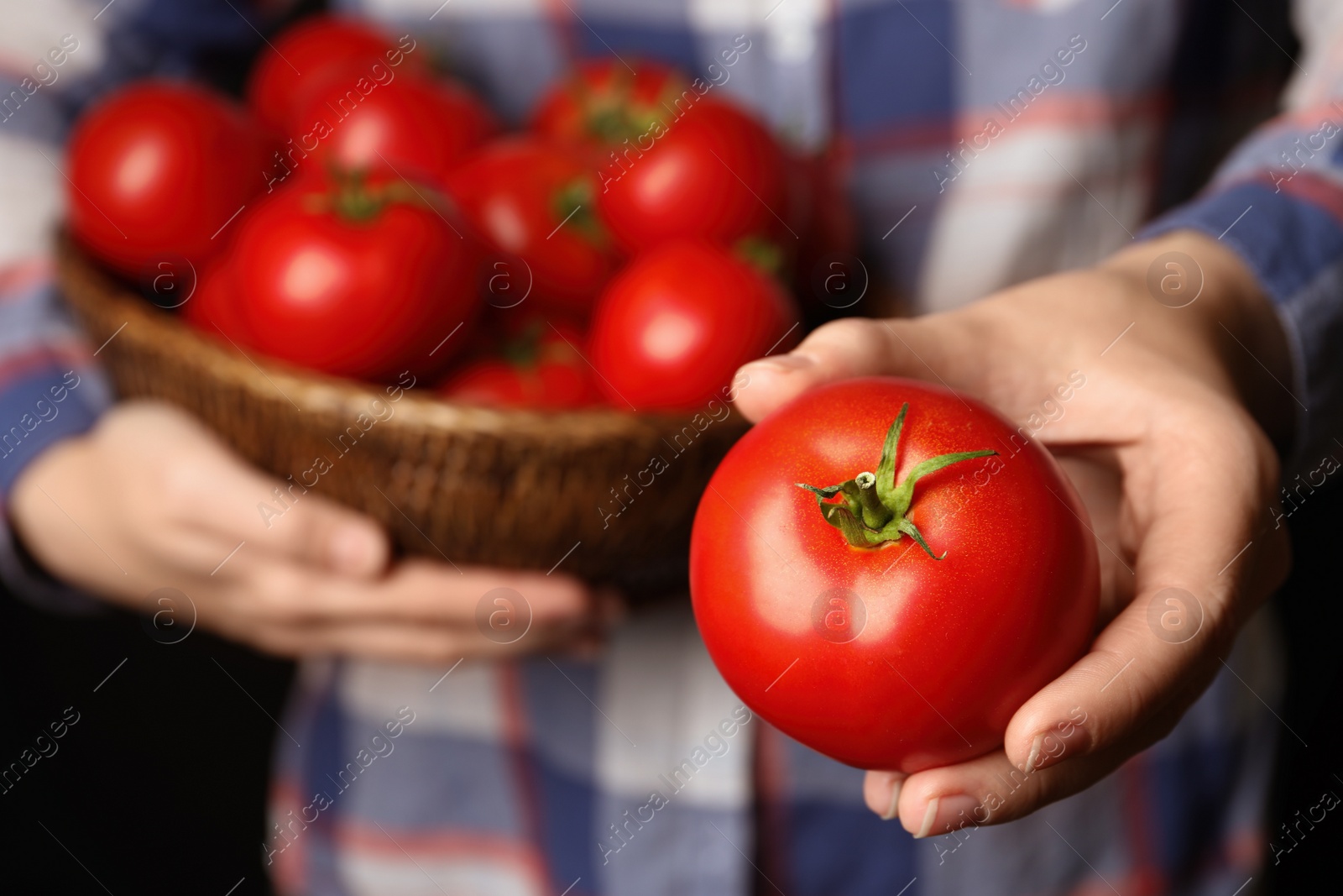 Photo of Woman with ripe tomato on black background, closeup