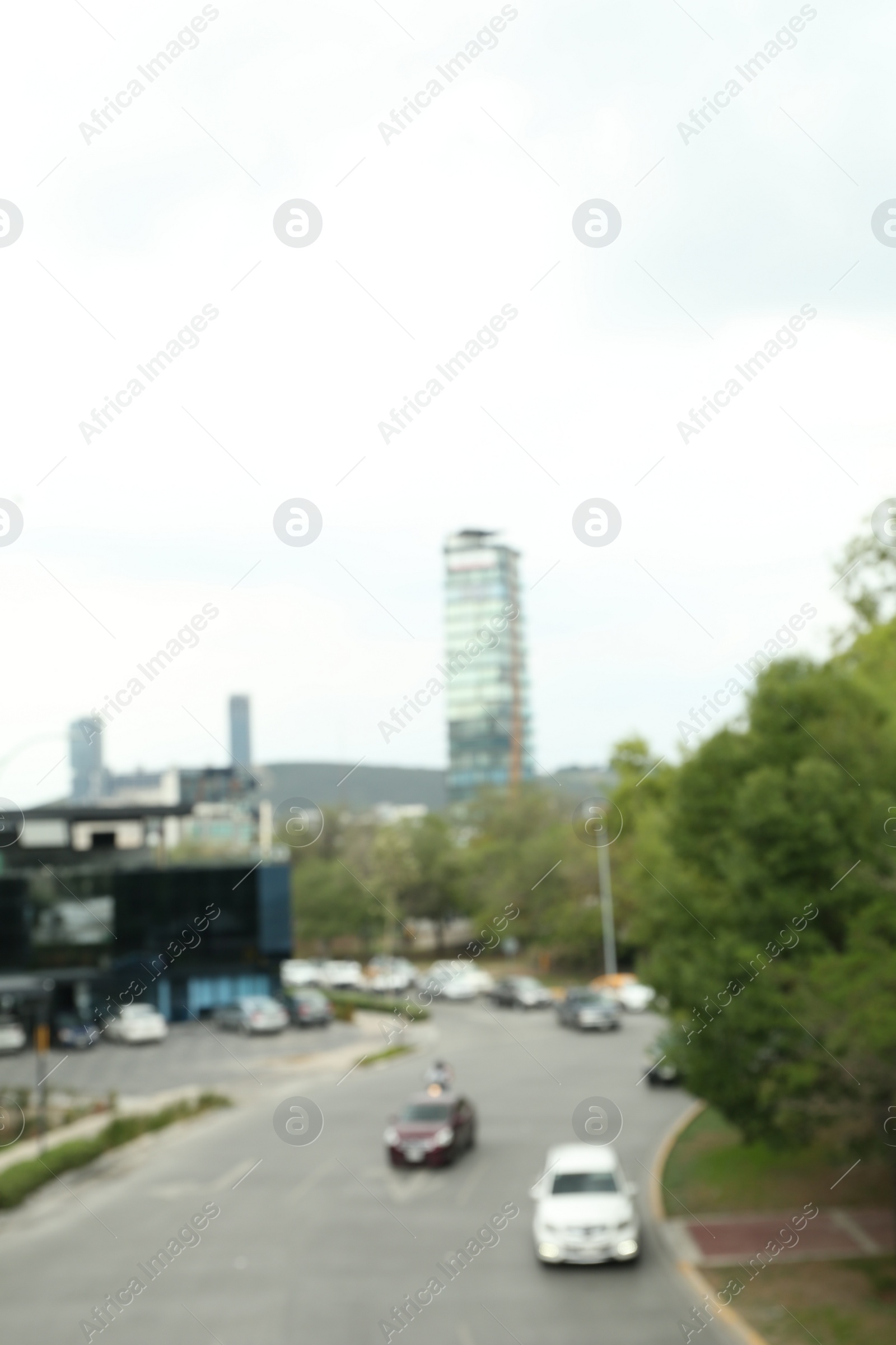 Photo of Modern cars on road near trees and building, blurred view