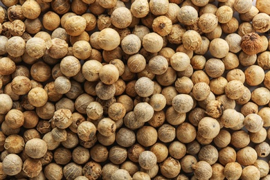 White peppercorns as background, top view. Aromatic spice