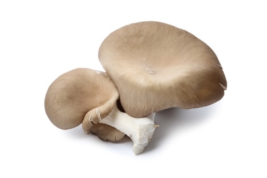 Photo of Delicious organic oyster mushrooms on white background