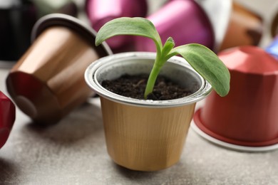 Photo of Coffee capsules and seedling on light grey table, closeup