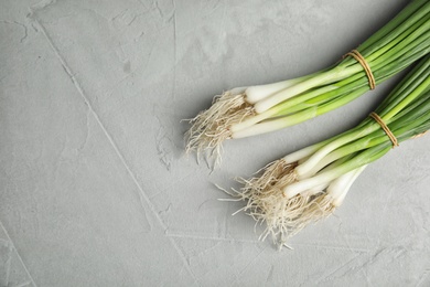 Fresh green onion on table, top view