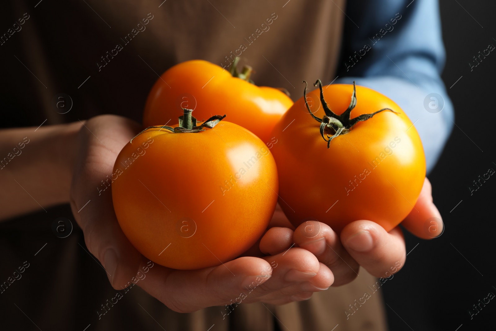 Photo of Woman holding fresh ripe yellow tomatoes, closeup