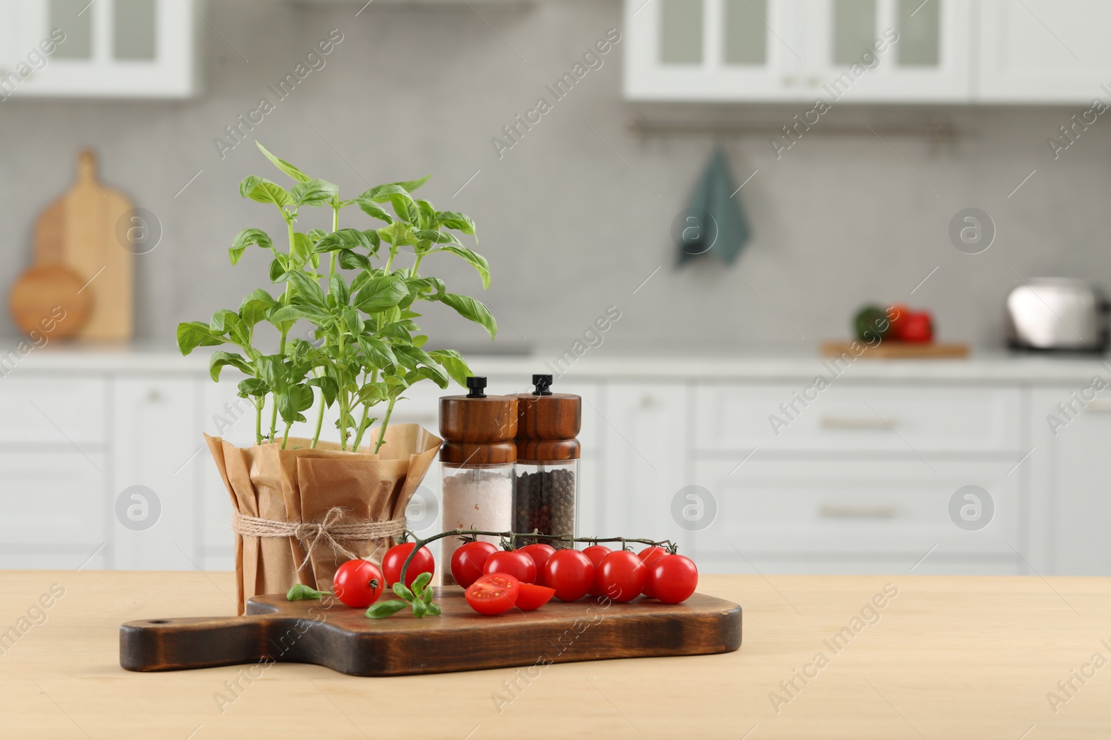 Photo of Beautiful potted basil, cherry tomatoes and spices on table in kitchen. Space for text