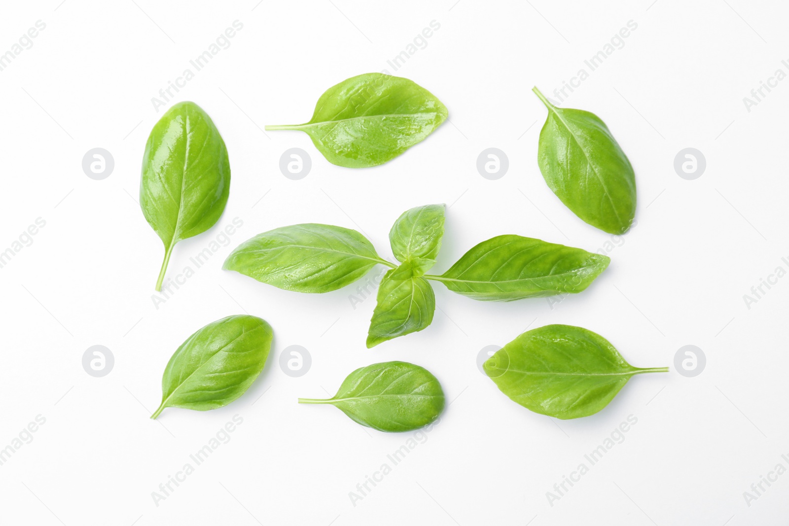 Photo of Fresh green basil leaves on white background, top view