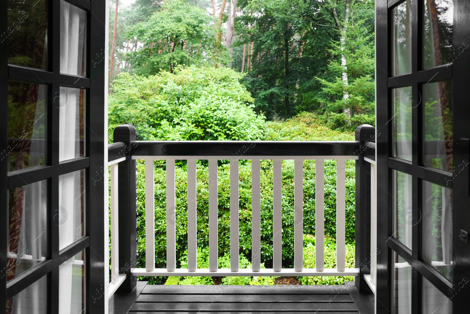 Photo of Beautiful forest with many different green plants, view from balcony