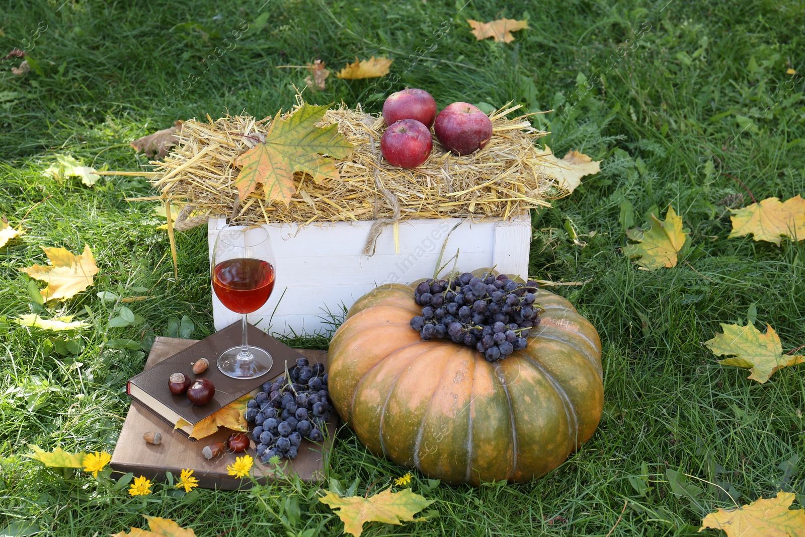 Photo of Glass of wine, book, pumpkin and grapes on green grass outdoors. Autumn picnic