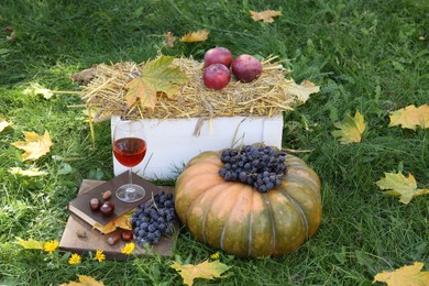 Photo of Glasswine, book, pumpkin and grapes on green grass outdoors. Autumn picnic